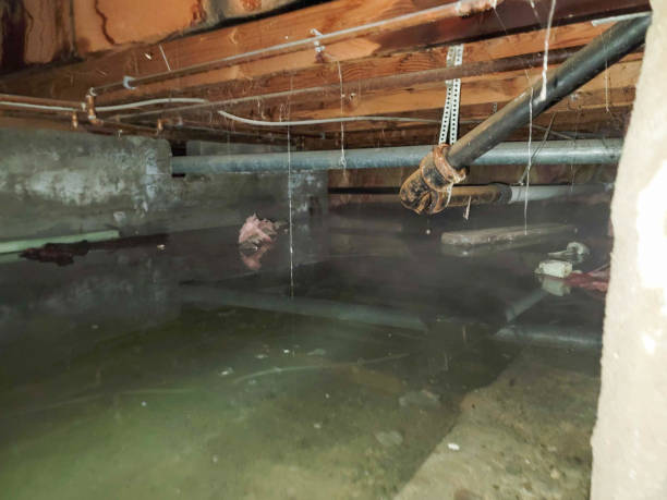 Best Water damage restoration near me  in Soh Jordan, UT