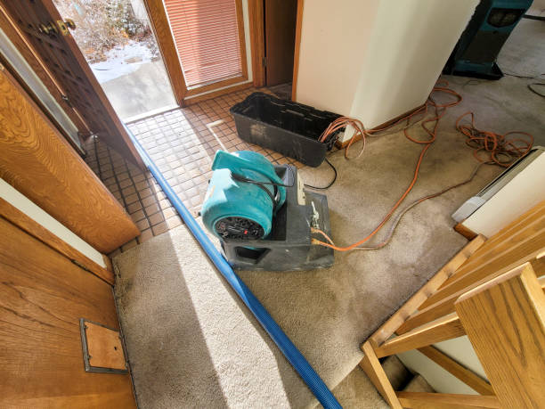 Best Residential water damage restoration  in Soh Jordan, UT