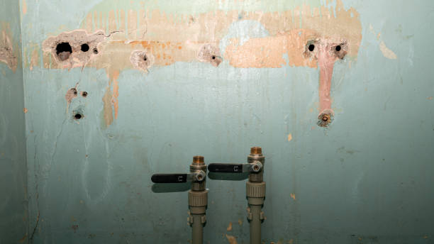 Best 24-hour water damage restoration  in Soh Jordan, UT